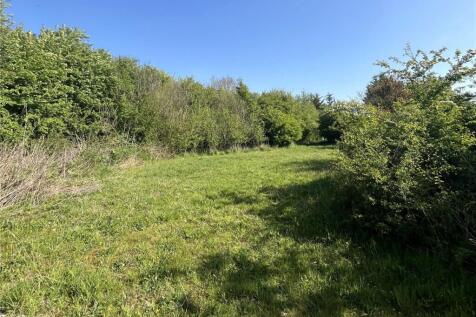Bare Grassland