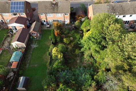 Ariel View