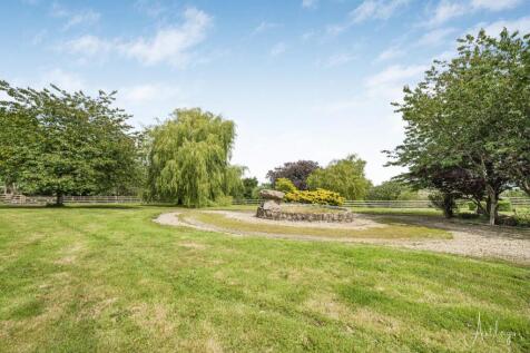 Grounds