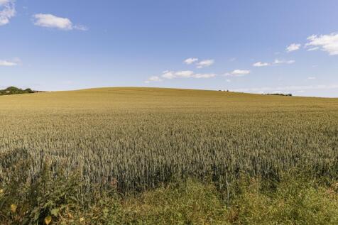 Countryside Views 