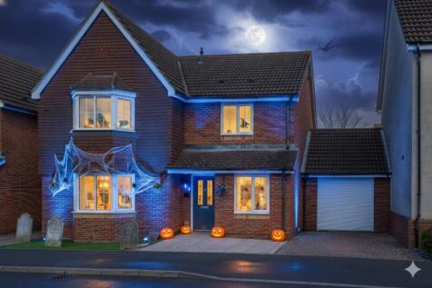 Halloween front shot