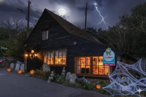 Halloween front shot