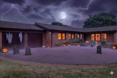 Halloween front shot