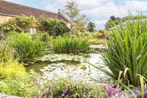Outside Pond