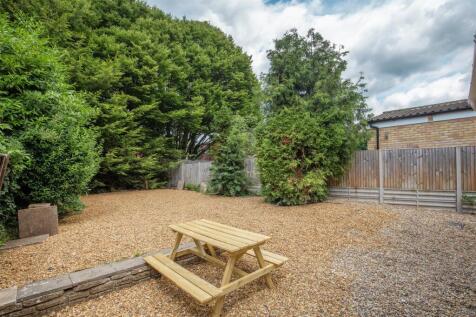 garden 1.jpg