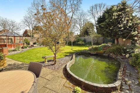 Pond