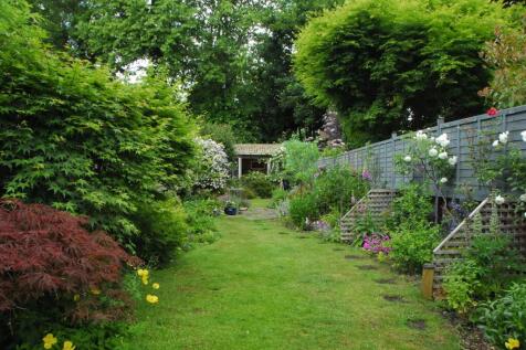 Rear Garden (Summertime)