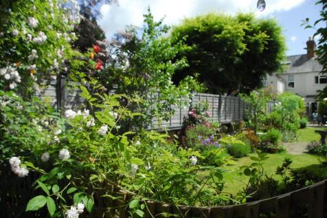 Rear Garden (Summertime)