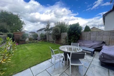 Back Garden