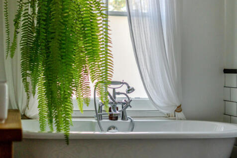 1370747-7-68fb7d9...