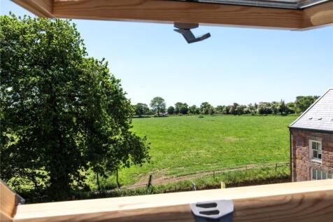 View From Window