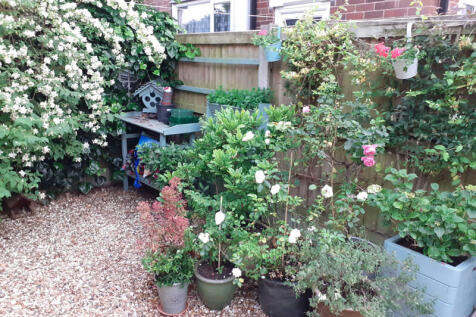 Rear of Property