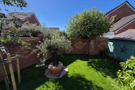 Rear of Property