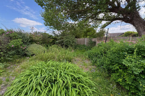 Rear of Property