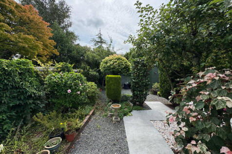 Rear of Property
