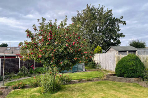Rear of Property