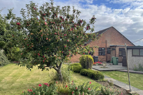 Rear of Property