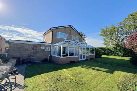 Rear of Property