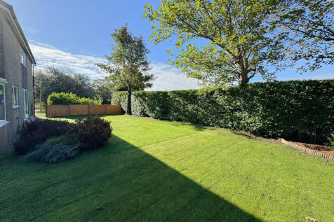 Rear of Property