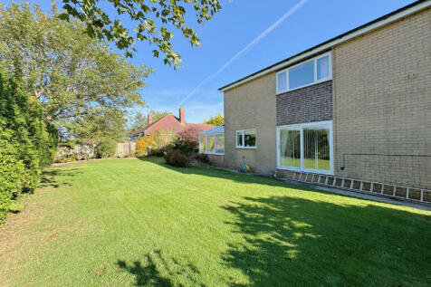 Rear of Property