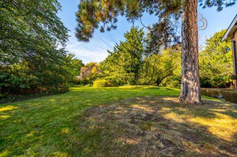 Property Image 81