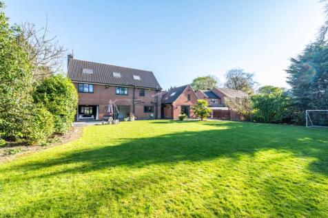 Property Image 34