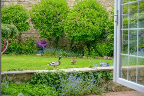 Property Image 25