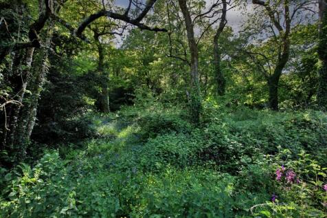 Property Image 26