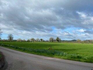 Picture No. 03