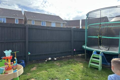 garden (2)