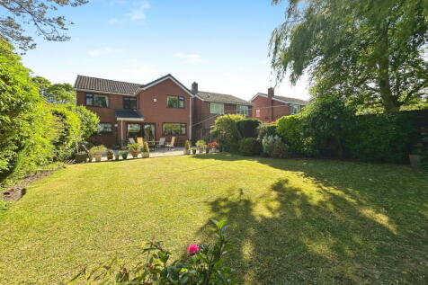 Property Image 49