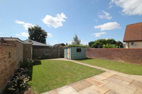 new garden1.JPG