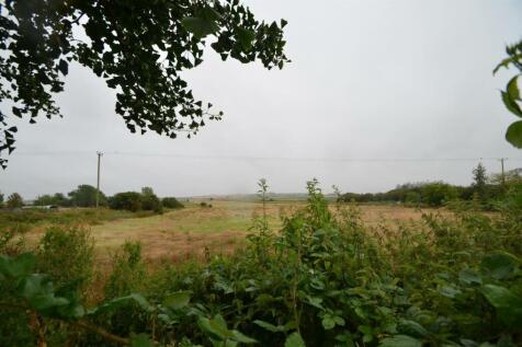 DSC_0079.JPG