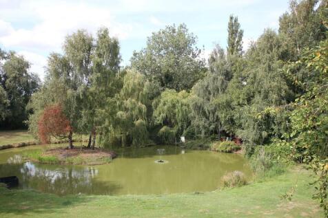 lake (2).JPG