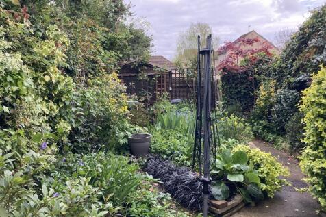 garden.jpg