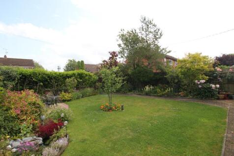 garden2.JPG