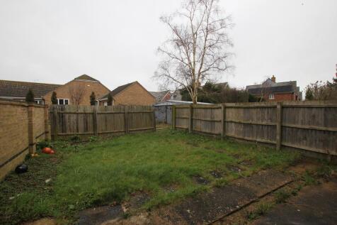 garden.JPG