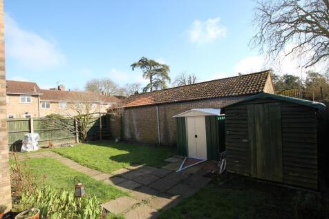 garden2.JPG