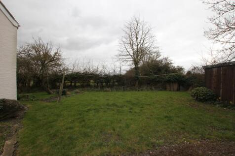 garden.JPG