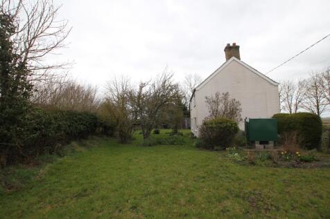 garden3.JPG
