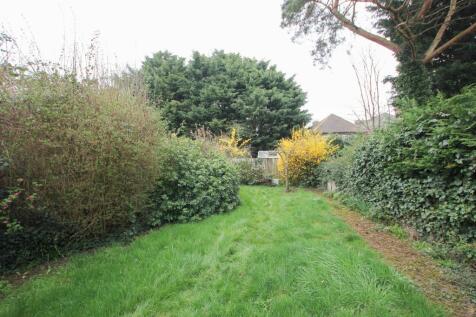garden.JPG