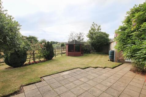 garden1.JPG