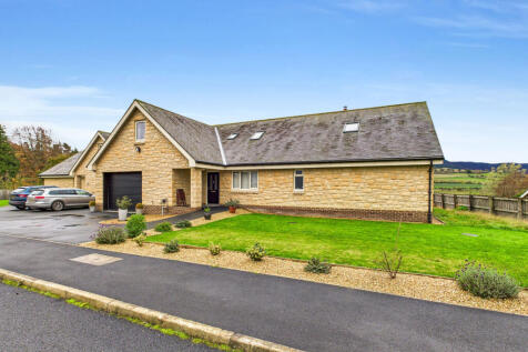 CAM04201G0-PR0116-STILL035