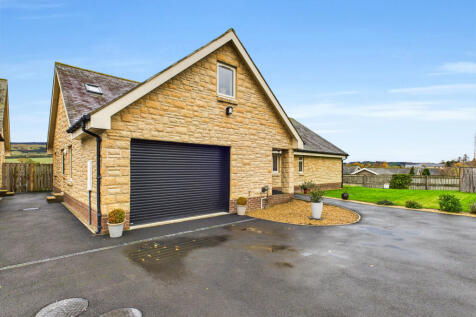 CAM04201G0-PR0116-STILL036