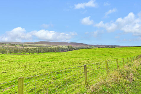 CAM04201G0-PR0110-STILL006