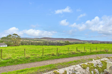 CAM04201G0-PR0110-STILL008