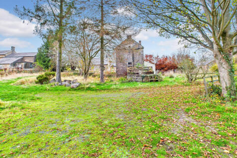 CAM04201G0-PR0117-STILL020