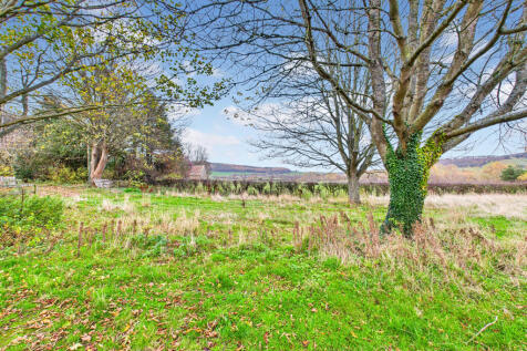 CAM04201G0-PR0117-STILL021