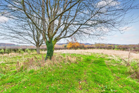 CAM04201G0-PR0117-STILL023