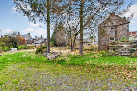 CAM04201G0-PR0117-STILL024